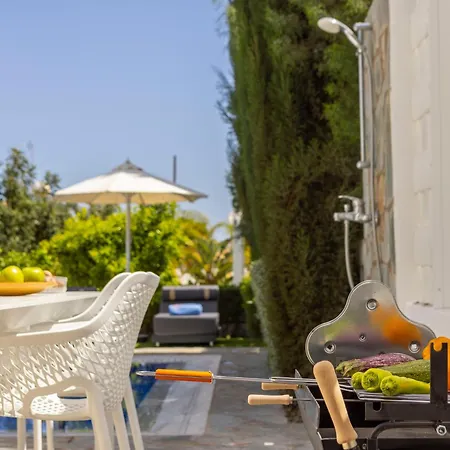 Zoe * 普罗塔拉斯